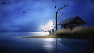 月下大海