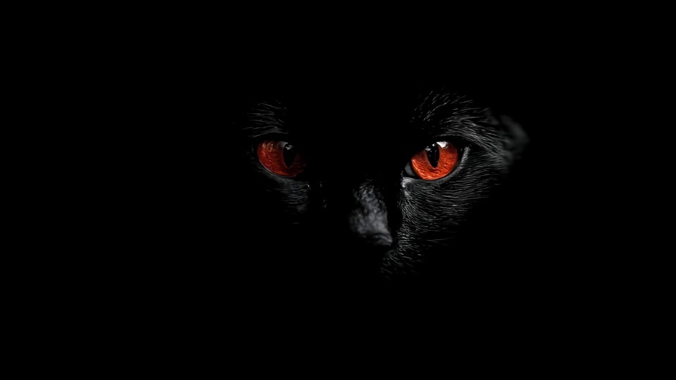 纯黑背景上仅露出黑猫的双眼局部，亮橙红色竖瞳清晰醒目，其余躯体全部隐没在深色阴影中。