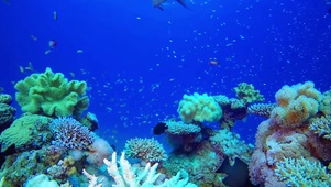 海底世界