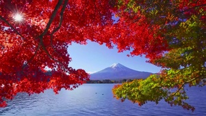 唯美秋天红叶湖富士山