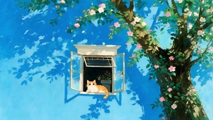屋檐窗台de小猫