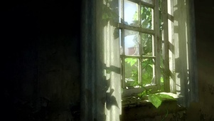 窗口