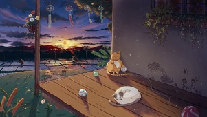 治愈喵星人日落