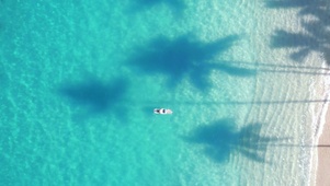 清澈大海