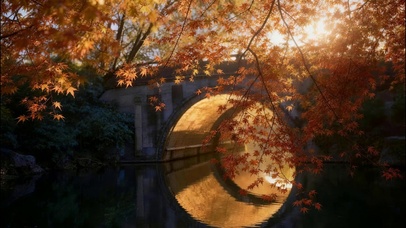 秋日美景