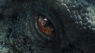 压迫感警告！巨兽之眼！