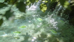 护眼水流