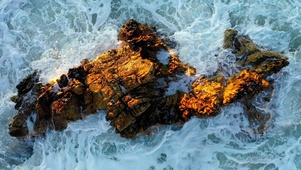 海中岩石