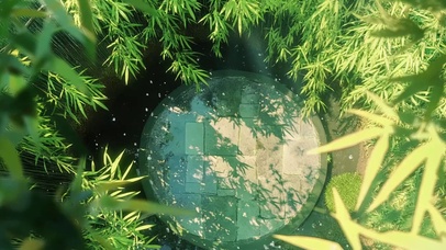 唯美治愈绿色竹林树影