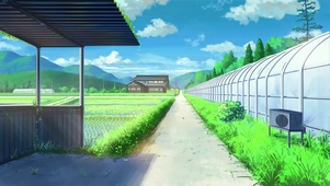 乡下稻田