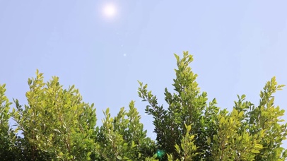 春的气息治愈壁纸图片 动态桌面壁纸图片 动态壁纸下载 元气壁纸