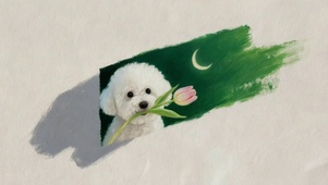 送你一朵小花花