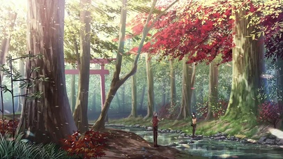 午后森林唯美