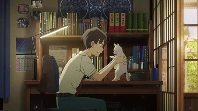 猫猫与少年