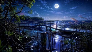 静谧月夜星空河畔夜景