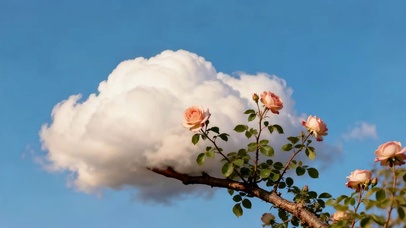 小清新云朵壁纸
