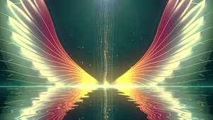 梦幻翅膀
