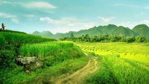 稻田小路，山峦蓝天
