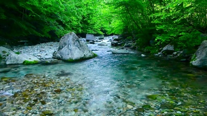 清凉溪流绿林山涧
