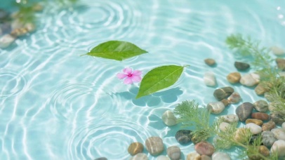 清澈水波与浮花