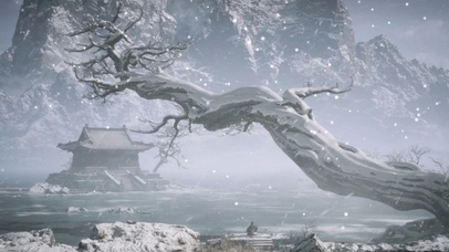 冬雪