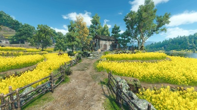 菜花田