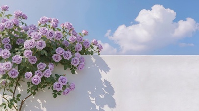 一树蔷薇