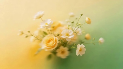 小清新鲜花