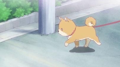 天使降临到我身边