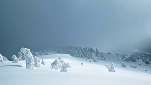 4K白雪茫茫