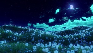 蒲公英海