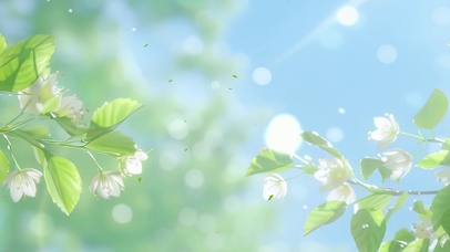 护眼花草树木景色带鱼屏双屏