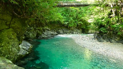 清澈山涧溪流