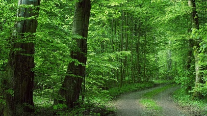 春雨绵绵，生机勃勃