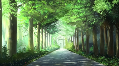 走进森林道路