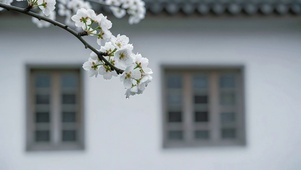 治愈花枝