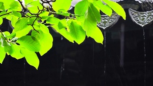 下雨天屋檐