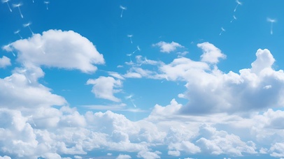 清新蓝天白云唯美蒲公英