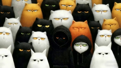 帽衫猫咪（我有一个帽衫）