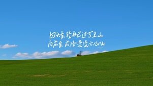文字控