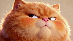 生气小橘猫