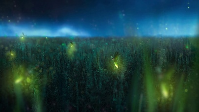 唯美夜空萤火虫