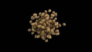 4K 高清 大豆流的3D动画