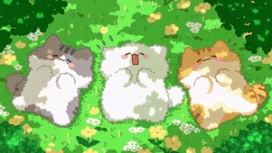 一起晒肚皮的摆烂猫猫三小只