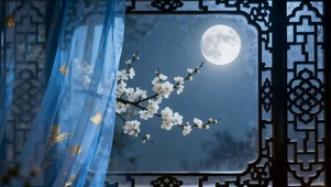 夜景月圆之夜