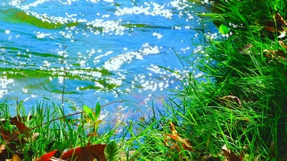 唯美朝阳小溪4K