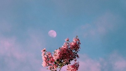 送你一朵小红花