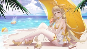 泳装美少女