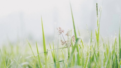 下雨天了怎么办我好想你