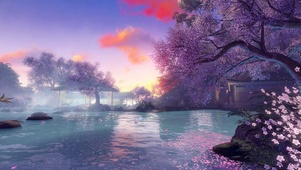 夕阳晚霞落花湖畔